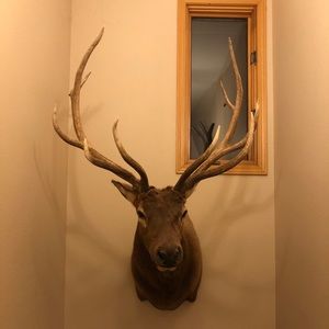 Meet your Posher, Cameron